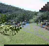 Timbertops - Horse Riding - Accommodation Mount Tamborine