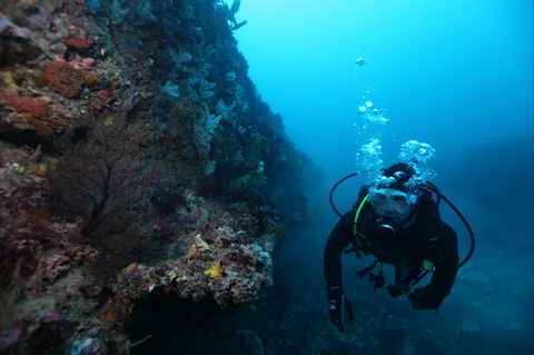 Twelve Apostles Marine National Park - Accommodation Mount Tamborine 0