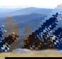 Victoria's High Country - Accommodation Mount Tamborine