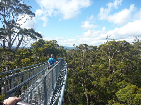 Walpole-Nornalup National Park - Accommodation Mount Tamborine 0