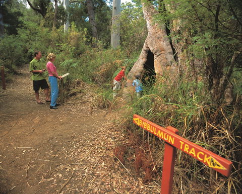 Walpole-Nornalup National Park - Accommodation Mount Tamborine 1