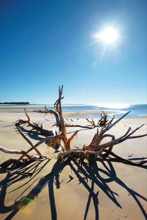 Woodgate Beach Park And Playground - Accommodation Mount Tamborine 1