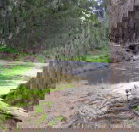 Bangadilly National Park - Accommodation Mount Tamborine
