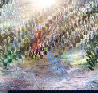 Bayview Conservation Area - Accommodation Mount Tamborine