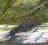 Berry Springs - Accommodation Mount Tamborine