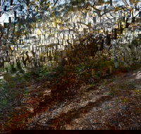 Booderee National Park Munyunga Waraga Dhugan Walking Trail - Accommodation Mount Tamborine