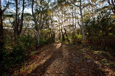 Booderee National Park: Munyunga Waraga Dhugan Walking Trail - Accommodation Mount Tamborine 0