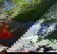 Booloumba Falls Walk Conondale National Park - Accommodation Mount Tamborine