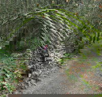 Bridle trail - Accommodation Mount Tamborine