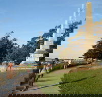 Burrawang walk - Accommodation Mount Tamborine