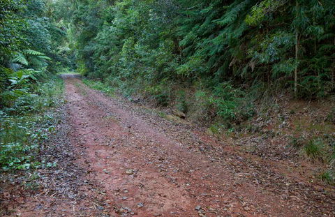 Cascade Mountain Bike Trail - Accommodation Mount Tamborine 0