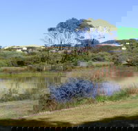 Centennial Park Beachport - Accommodation Mount Tamborine