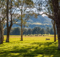 Coast to the Highlands Scenic Drive  Kangaroo Valley - Accommodation Mount Tamborine