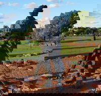 Cobar Miners Heritage Park - Accommodation Mount Tamborine