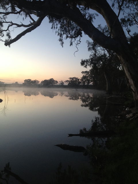 Cockatoo Lake Recreation Reserve - Accommodation Mount Tamborine 0