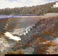 Collie - Accommodation Mount Tamborine