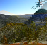 Conondale National Park - Accommodation Mount Tamborine