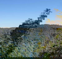 Cooks Nose Walking Track - Accommodation Mount Tamborine