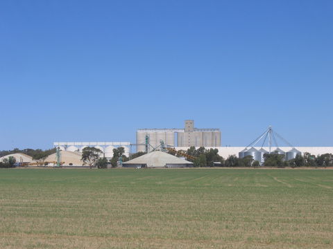 Co-operative Bulk Handling (CBH) Wheat Storage And Transfer Depot - Accommodation Mount Tamborine 1