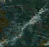 Dingo Forest - Accommodation Mount Tamborine
