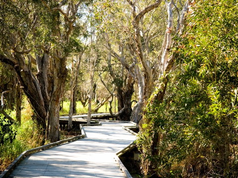 Eagleby Wetlands - Accommodation Mount Tamborine 1