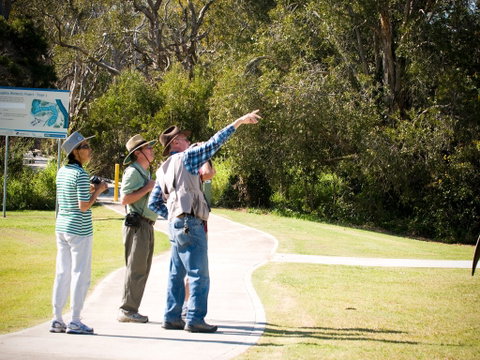 Eagleby Wetlands - Accommodation Mount Tamborine 2