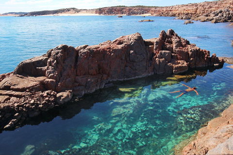 Eyre Peninsula - Accommodation Mount Tamborine 0