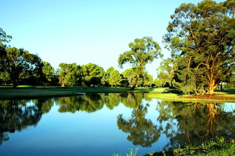 Finley Golf Club - Accommodation Mount Tamborine 0