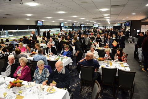 Geelong Greyhound Racing Club - The Beckley Centre - Accommodation Mount Tamborine 1