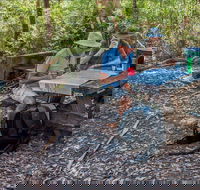 George Boyd picnic area - Accommodation Mount Tamborine