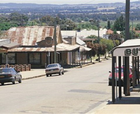 Gulgong Symbol Trail - Accommodation Mount Tamborine 0