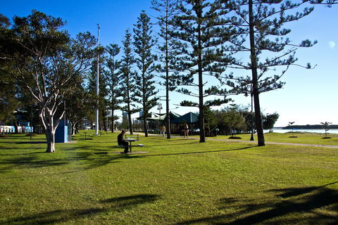 Harley Park - Accommodation Mount Tamborine 2