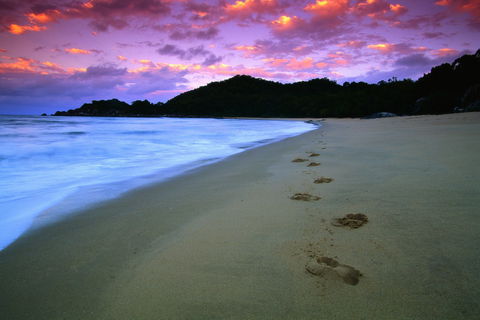 Hinchinbrook Island National Park - Accommodation Mount Tamborine 2