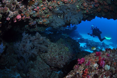 Hutchinson Shoal Dive Site - Accommodation Mount Tamborine 0