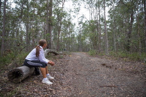 Ironbark Ridge And Spotted Gum Walking Trails - Accommodation Mount Tamborine 1