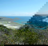 Jack Perkins Walking Track - Accommodation Mount Tamborine