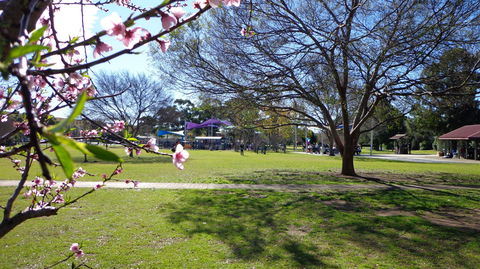 Koshigaya Park - Accommodation Mount Tamborine 0