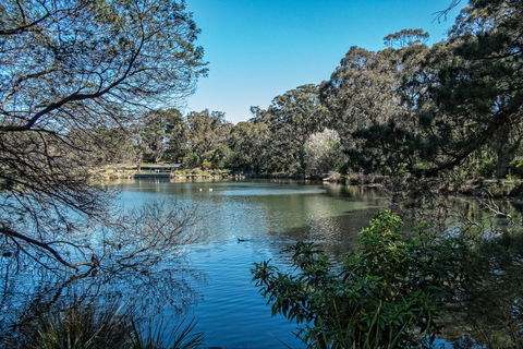 Lake Alexandra Reserve - Accommodation Mount Tamborine 1