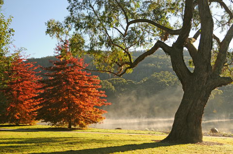 Lake Alexandra Reserve - Accommodation Mount Tamborine 2