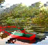 Lane Cove National Park - Accommodation Mount Tamborine