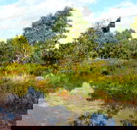 Mansfield Mullum Wetlands - Accommodation Mount Tamborine