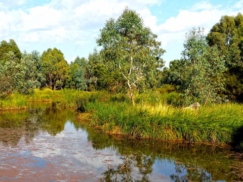 Mansfield Mullum Wetlands - Accommodation Mount Tamborine 0