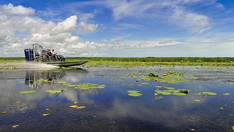 Mary River Area - Accommodation Mount Tamborine 2