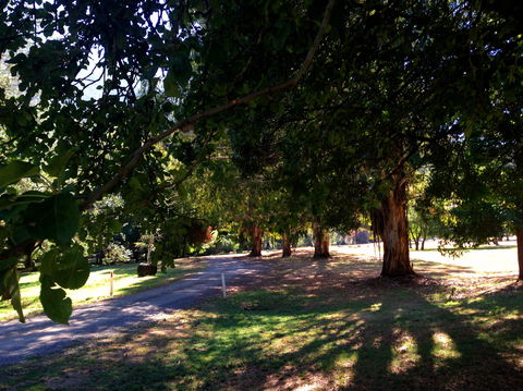 Mirimbah Park - Accommodation Mount Tamborine 0