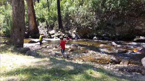 Mirimbah Park - Accommodation Mount Tamborine 1
