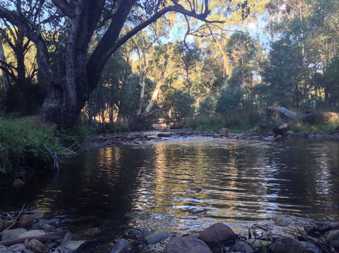 Mirimbah Park - Accommodation Mount Tamborine 2