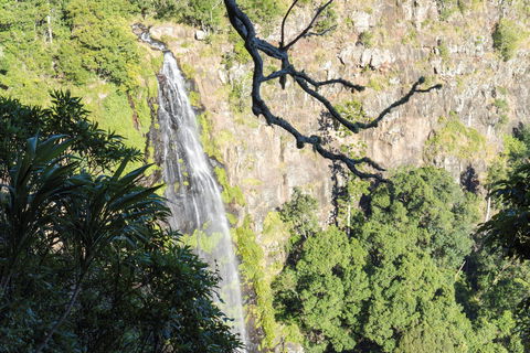 Morans Falls Track, Lamington National Park - Accommodation Mount Tamborine 0