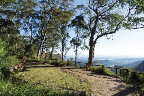 Morans Falls Track, Lamington National Park - Accommodation Mount Tamborine 1