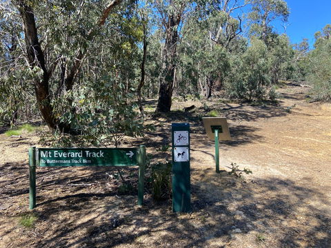 Mt Everard Circuit - Accommodation Mount Tamborine 1