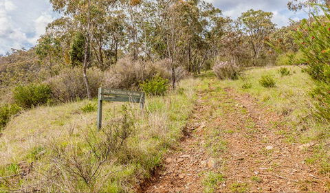 Old Mountain Road Walking Track - Accommodation Mount Tamborine 0
